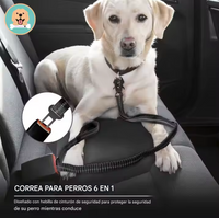 Correa de Seguridad MultiFit