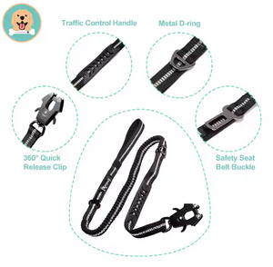 Correa de Seguridad MultiFit