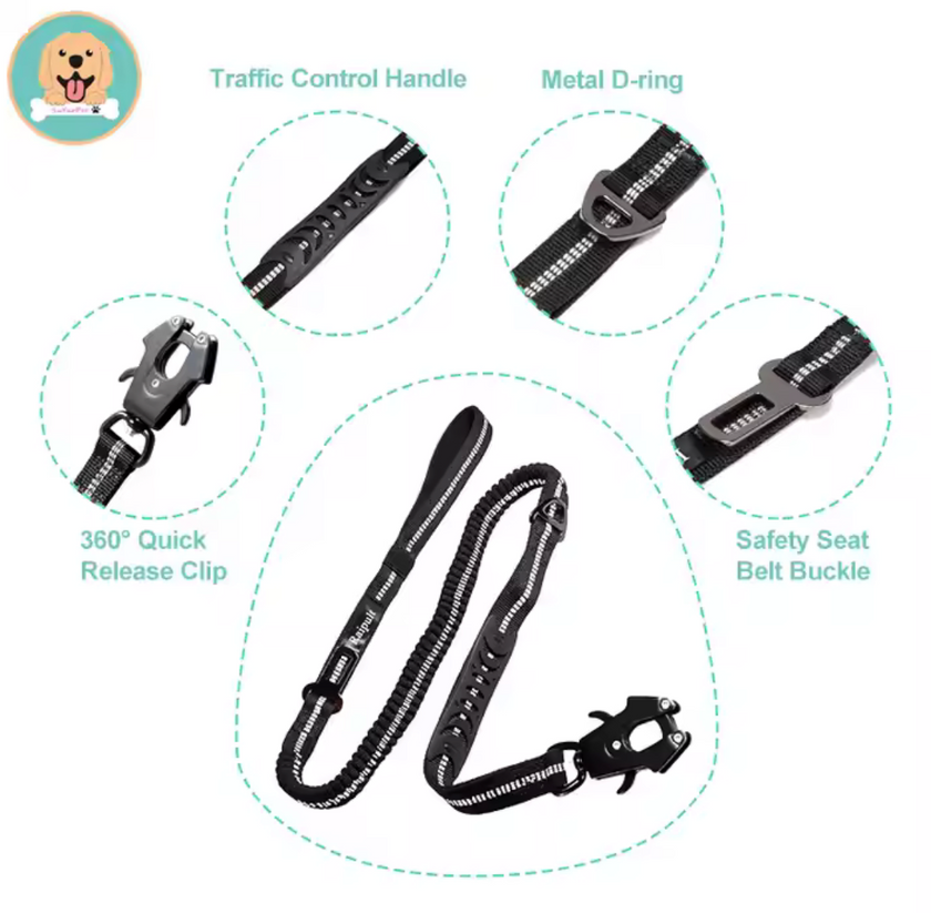 Correa de Seguridad MultiFit