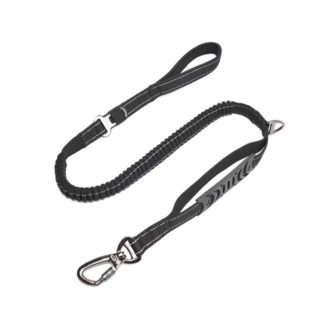 Correa de Seguridad MultiFit