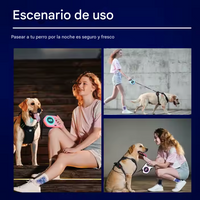Correa Retráctil Lumina