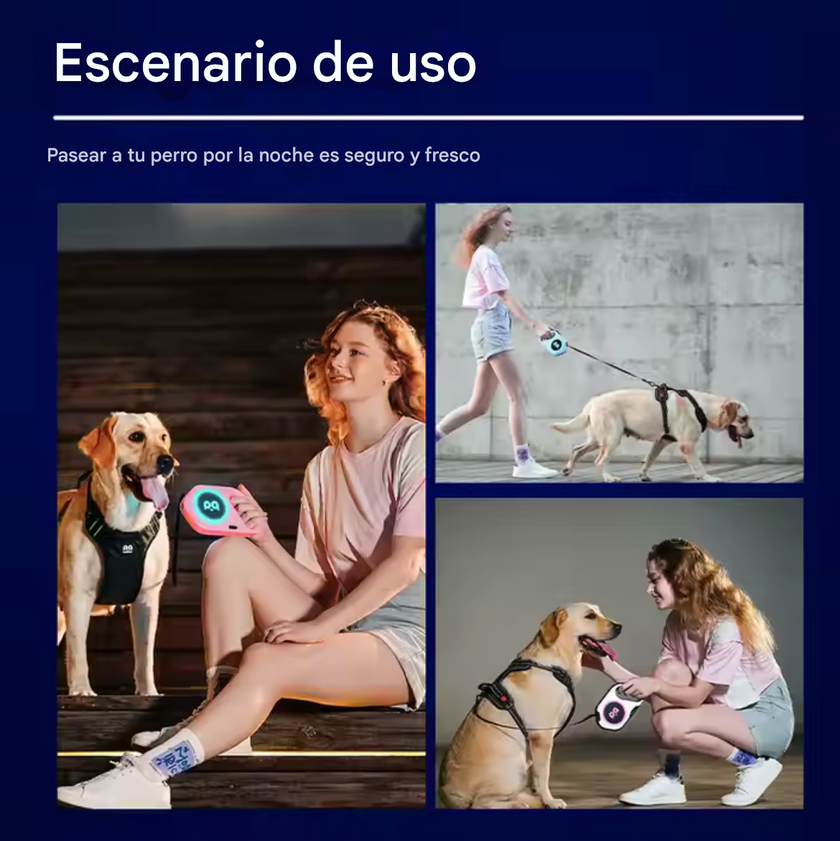 Correa Retráctil Lumina