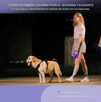 Correa Retráctil Lumina