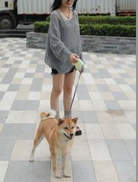 Correa retractil -Green Life-