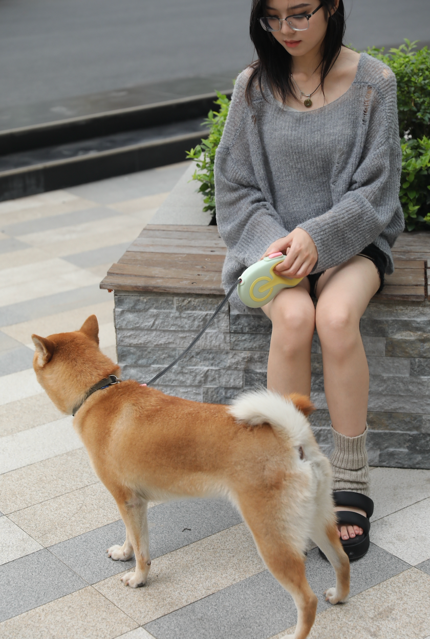 Correa retractil -Green Life-