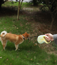 Correa retractil -Green Life-