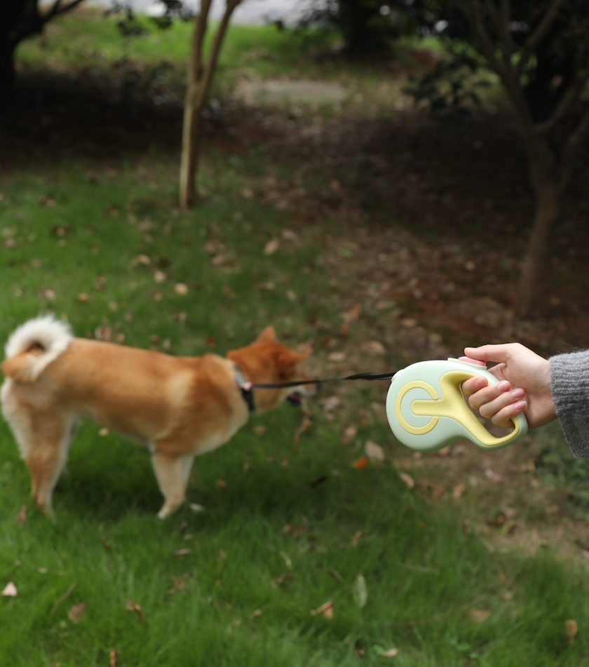 Correa retractil -Green Life-