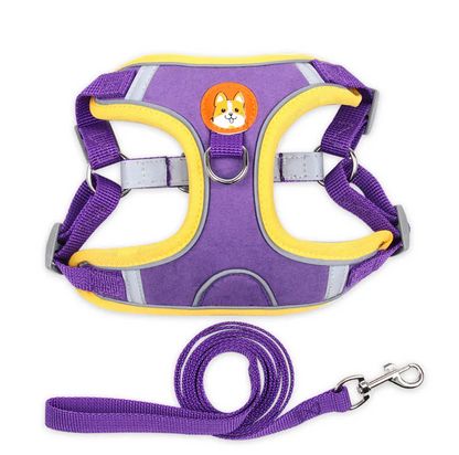 Arnés de Paseo “Confort & Seguridad”