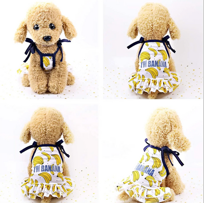 Vestidos Divertidos para Mascotas "FruitStyle"