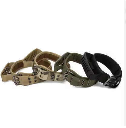 Collar "Seguridad Canin"