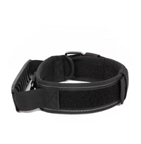 Collar de Seguridad -Canin -