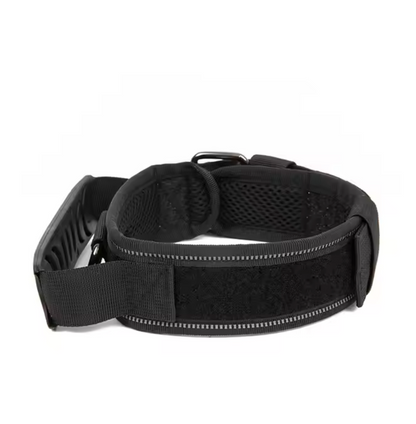 Collar "Seguridad Canin"