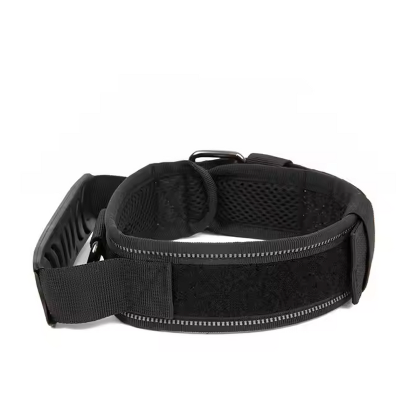 Collar de Seguridad -Canin -
