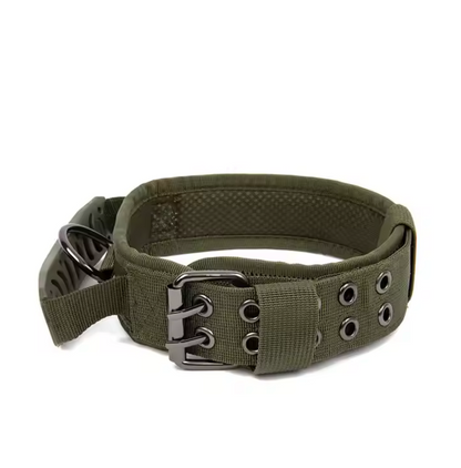 Collar "Seguridad Canin"