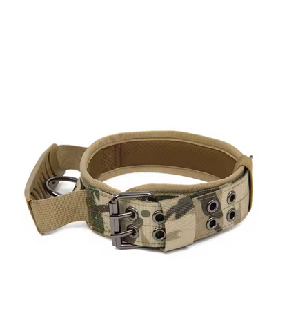 Collar "Seguridad Canin"