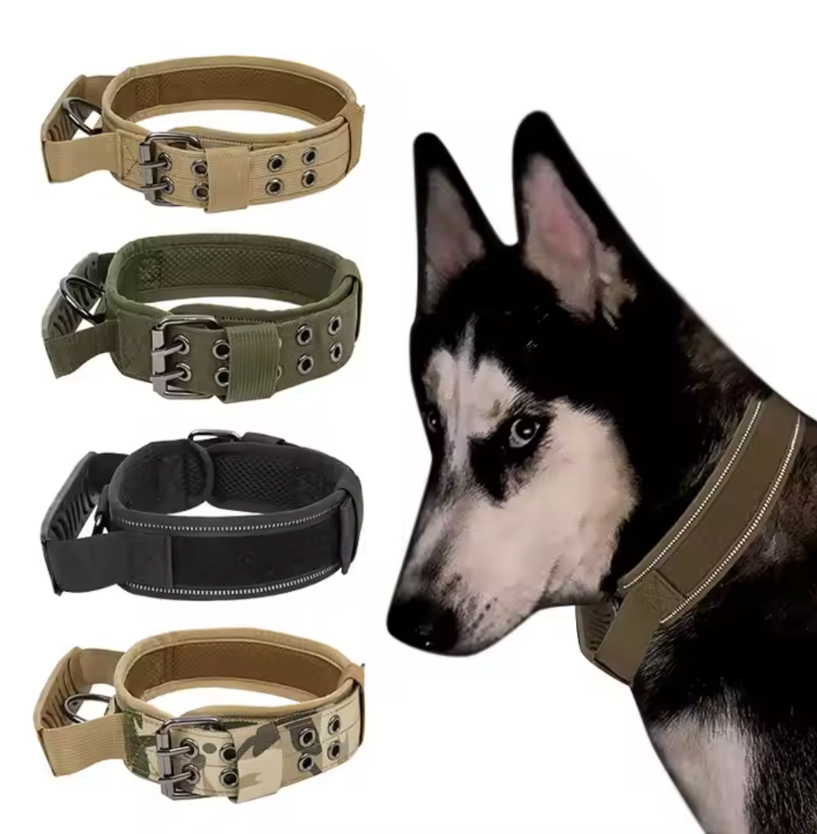 Collar "Seguridad Canin"