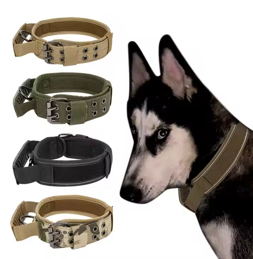 Collar de Seguridad -Canin -