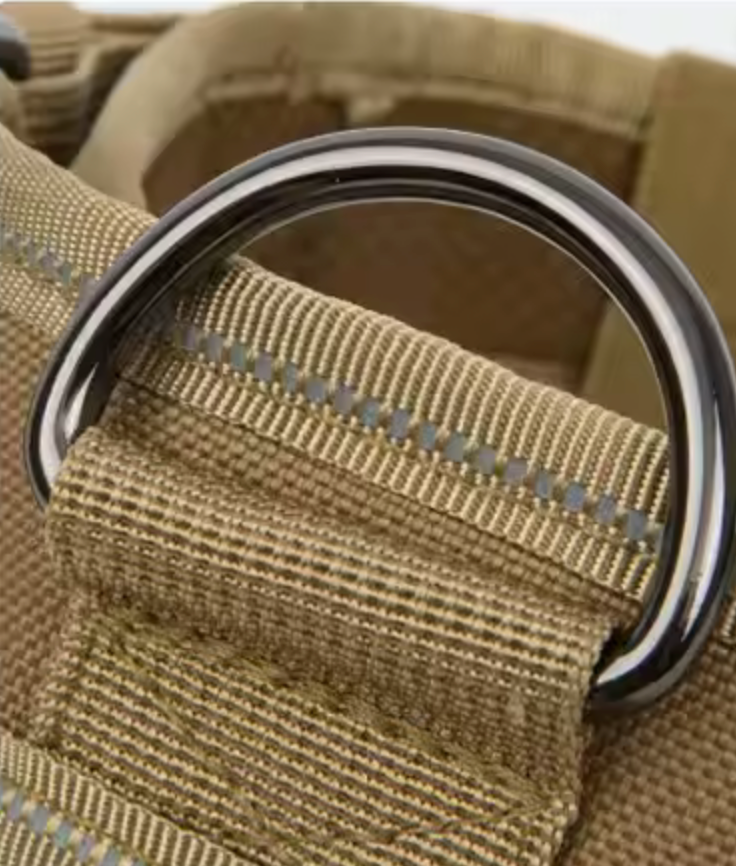 Collar "Seguridad Canin"