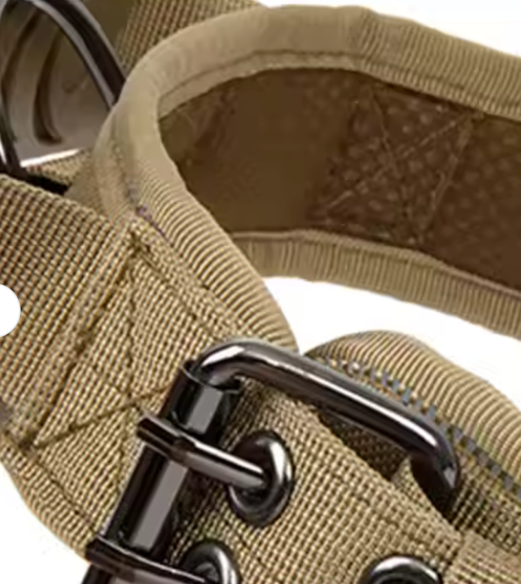 Collar "Seguridad Canin"