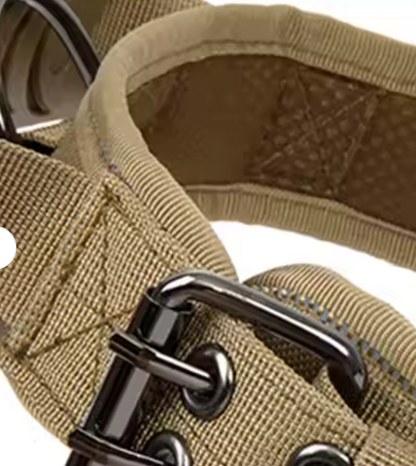 Collar "Seguridad Canin"