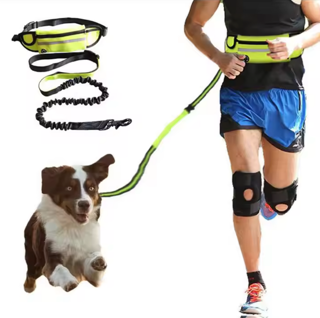 Correa Manos Libres -Fit Pet-