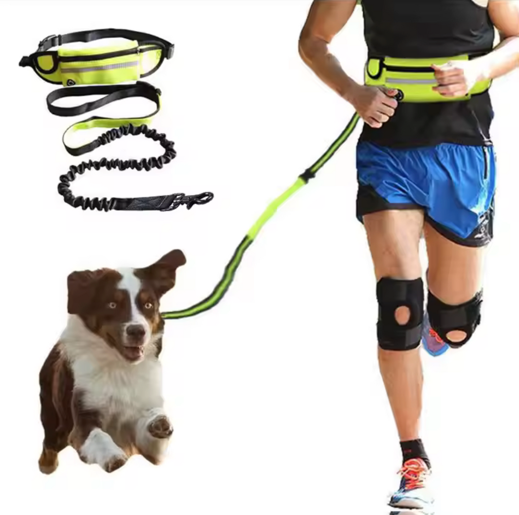 Correa Manos Libres -Fit Pet-