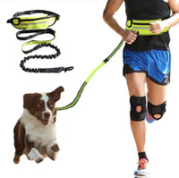 Correa Manos Libres -Fit Pet-