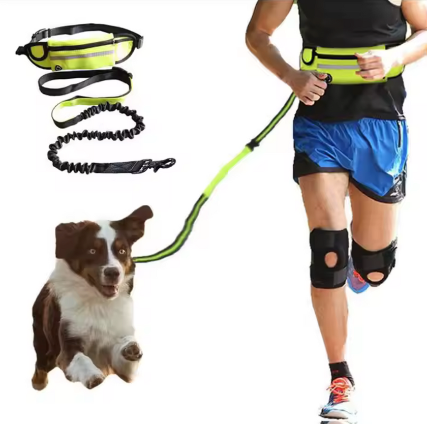 Correa Manos Libres -Fit Pet-