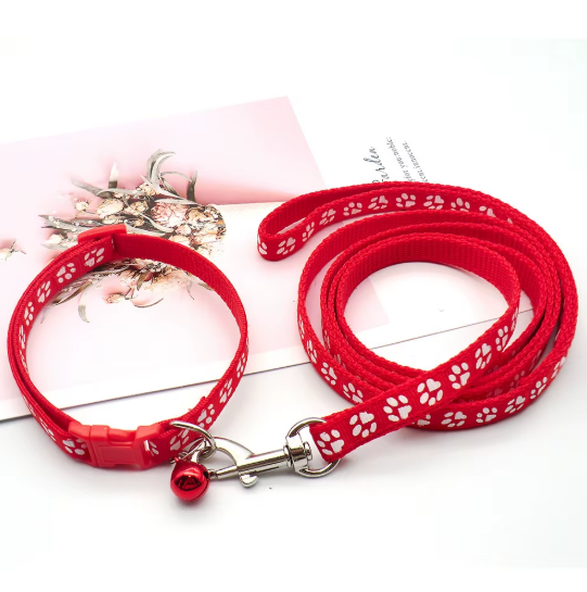 Set de Collar y Correa Huellitas