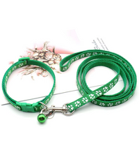 Set de Collar y Correa Huellitas