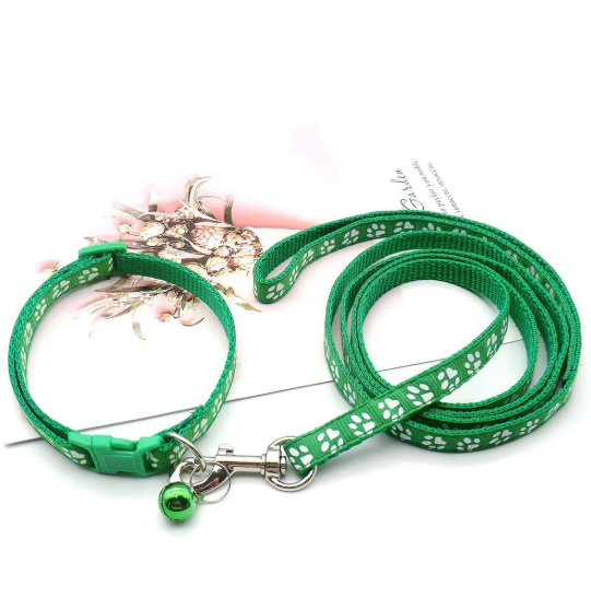 Set de Collar y Correa Huellitas