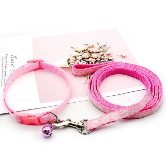 Set de Collar y Correa Huellitas