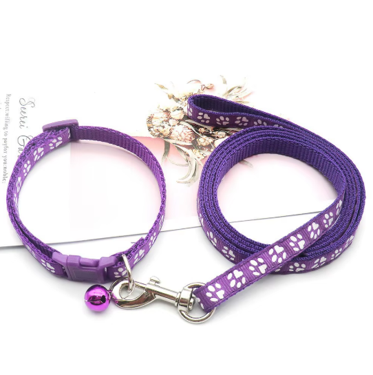 Set de Collar y Correa "Huellitas"