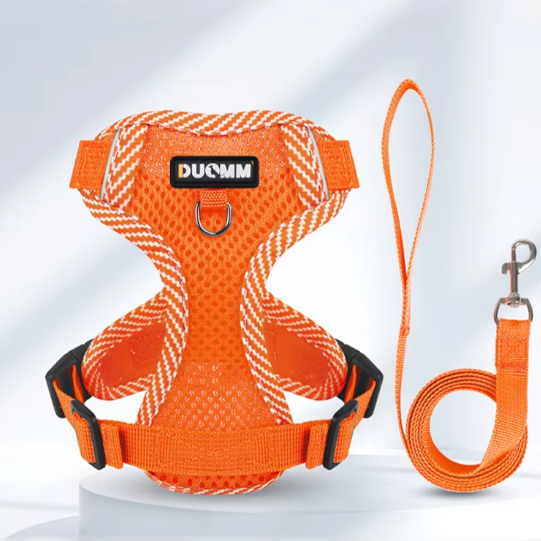 Set de arnes y correa "Breeze Fit"