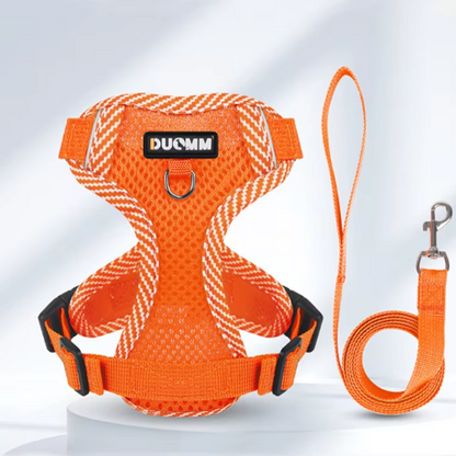 Set de arnes y correa "Breeze Fit"