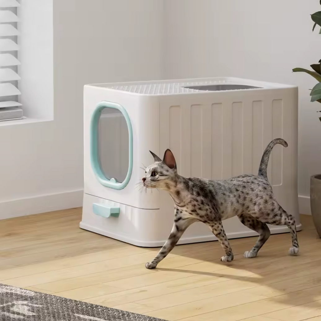Arenero para Gatos "CleanBox Plus"