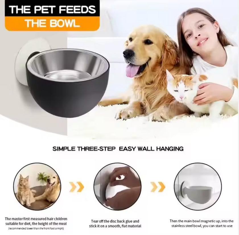 Plato "Wall Feeder"