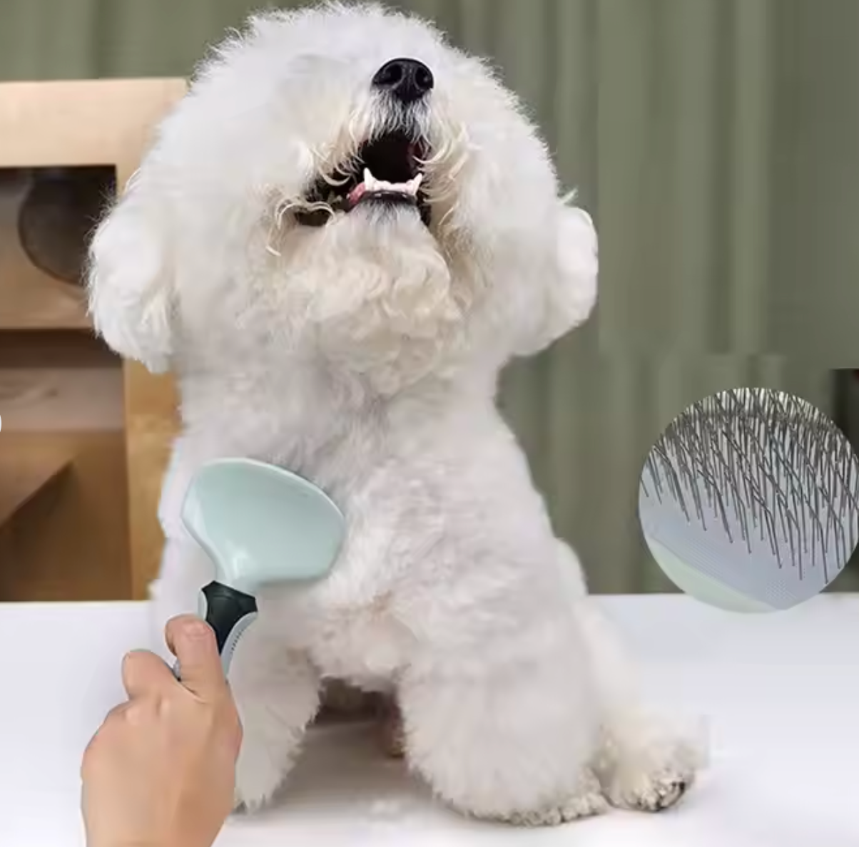 Kit de Aseo "Pro Groom"