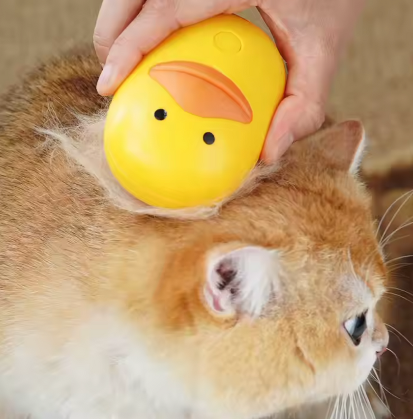 Cepillo vaporizador "Duck Spa"