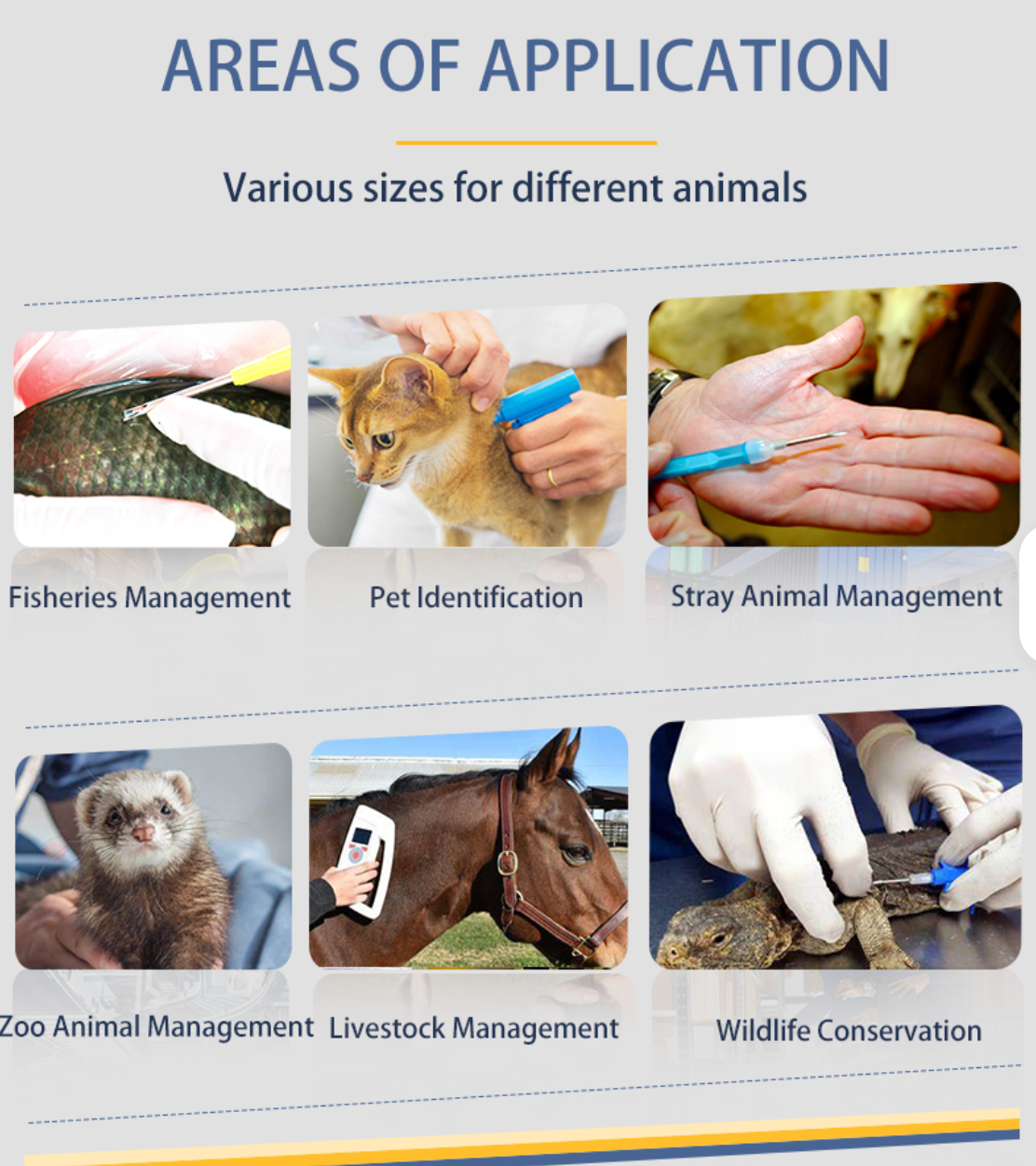 Microchip "Secure Pet ID"