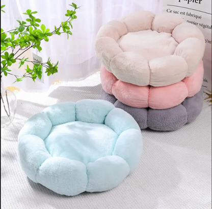 Cama "PlushNest"