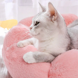 Cama "PlushNest"