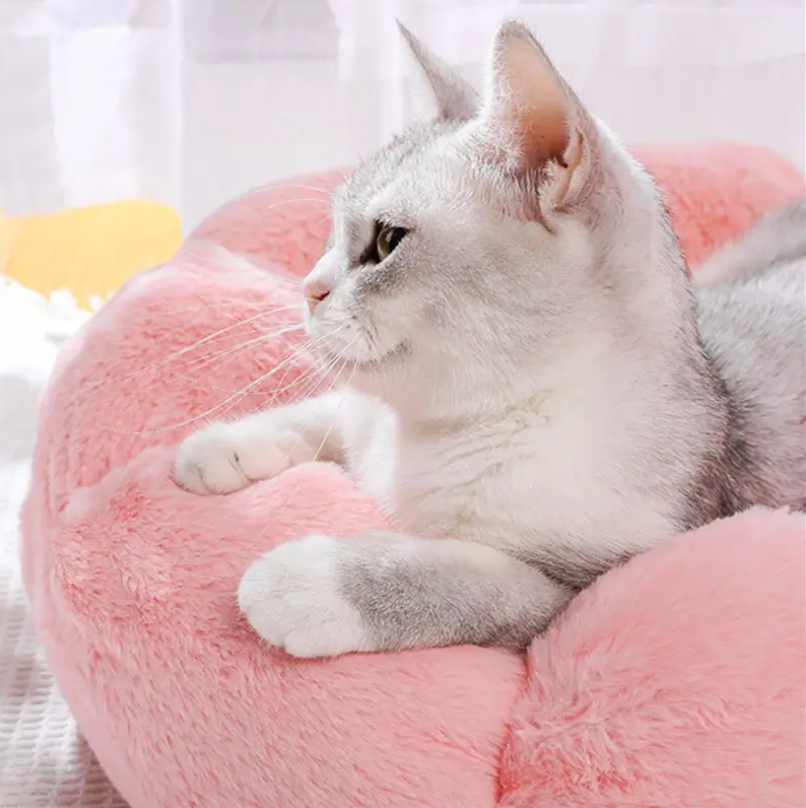 Cama "PlushNest"