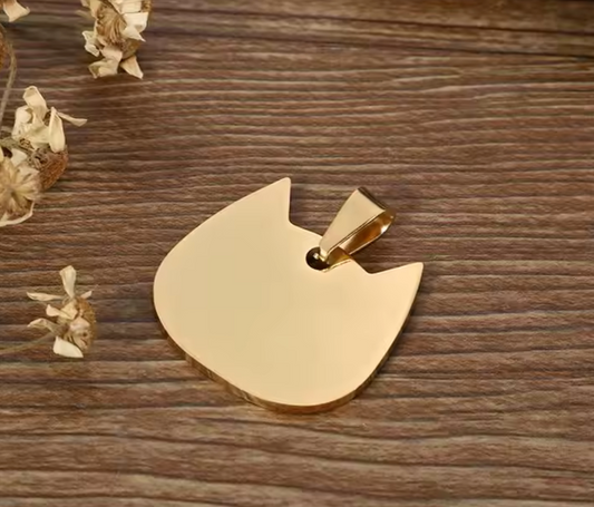 Placa varias formas de Identidad PET 1