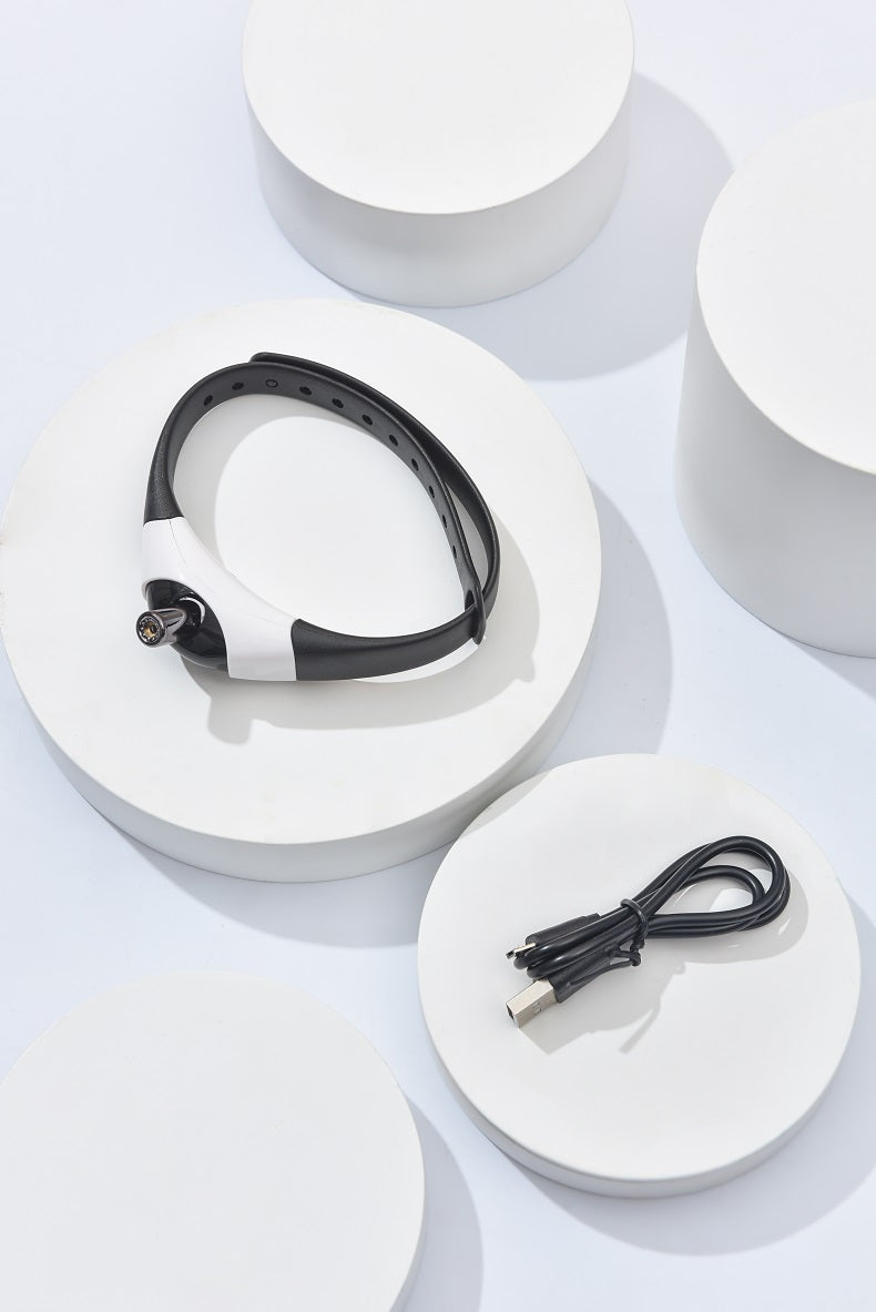 Juguete Láser "Play Light"