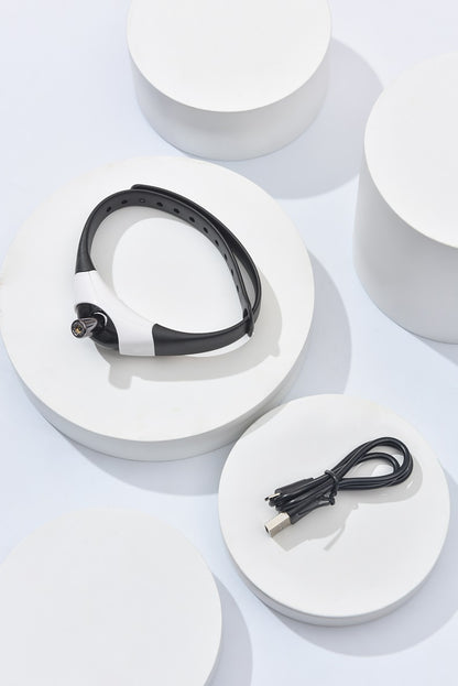 Juguete Láser "Play Light"