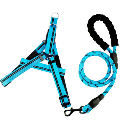 Set de arnes y correa "Dynamic Grip"