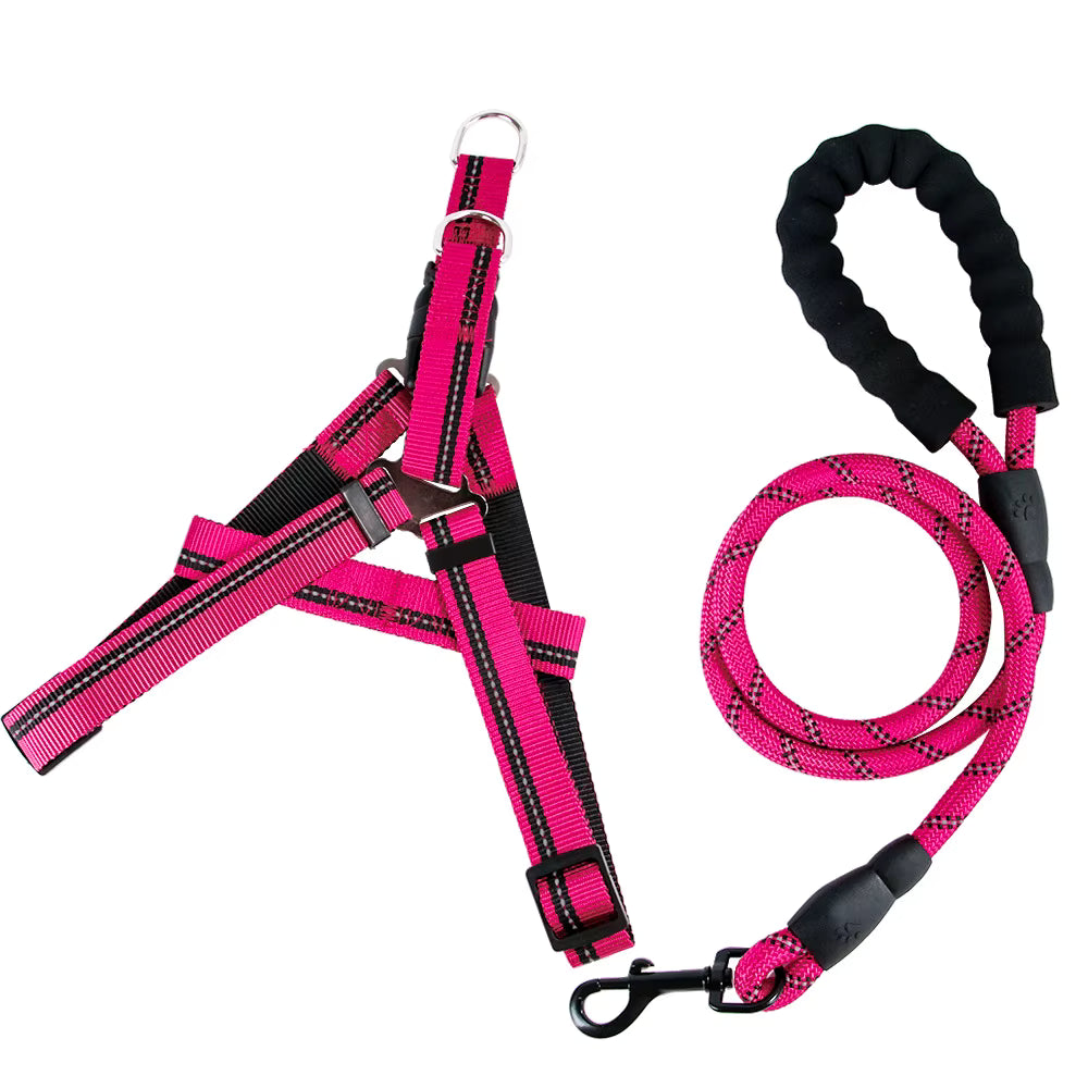 Set de arnes y correa "Dynamic Grip"