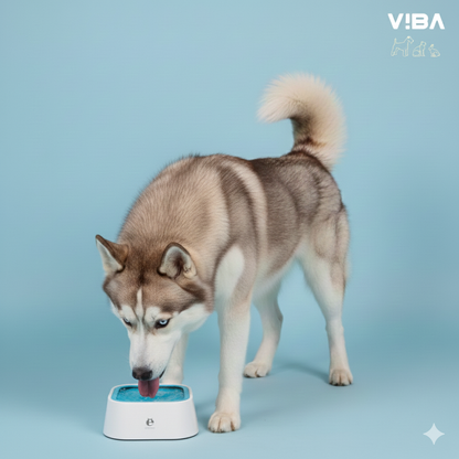 Bebedero Antiderrame "Cool Sip"