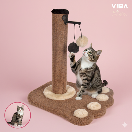 Rascador "Paw Scratch"